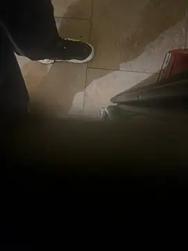 Snapshot of dingoding chatting on 8, 1, 2025 dingoding online show from 8, 1, 2025