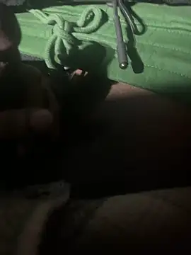 Snapshot of dingoding chatting on 11, 1, 2025 dingoding online show from 11, 1, 2025