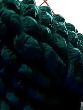 kelly dirty  online show from 19, 3, 2025