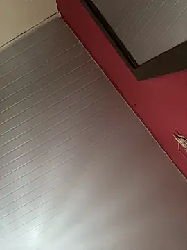 pimenta gaby online show from 12, 3, 2025