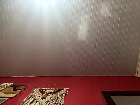 pimenta gaby online show from 17, 3, 2026