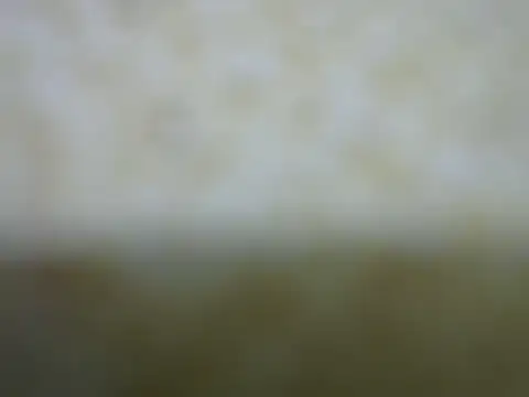 castistee online show from 26, 10, 2025