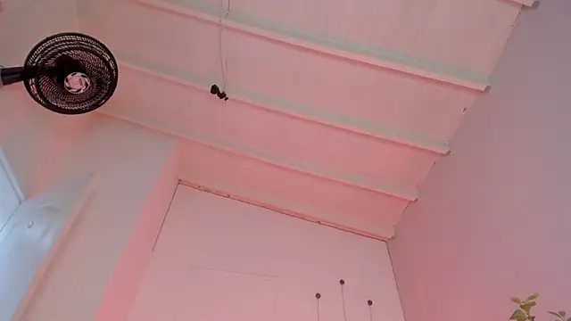 Snapshot of swt-booty chatting on 19, 11, 2025 swt-booty online show from 19, 11, 2025