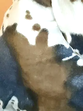 Diya 143 online show from 7, 1, 2026