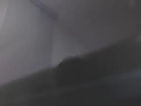 violetasweet11 online show from 19, 2, 2026