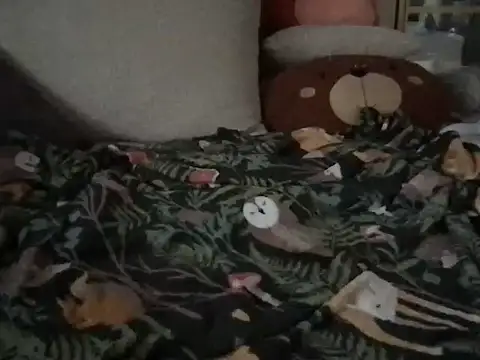 Perwers 41 online show from 2, 11, 2025