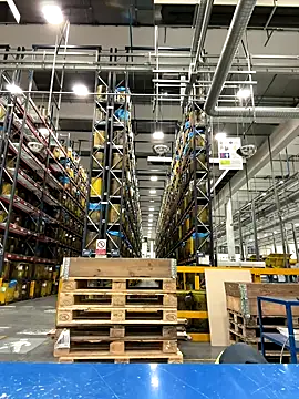 danicohoney online show from 10, 10, 2025