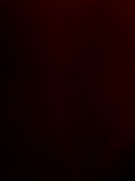 Rajibsorkar20 online show from 1, 3, 2025