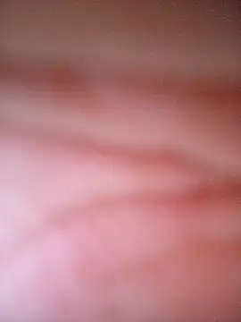 CASADASIGILO2 online show from 13, 11, 2025