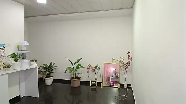 NicoleCortez online show from 12, 12, 2024