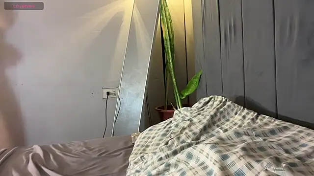 wiggle nibble online show from 17, 1, 2026