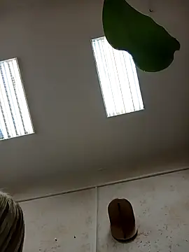 Office Albertina online show from 18, 1, 2026