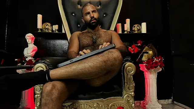 Snapshot of BeardAndrew chatting on 2, 7, 2026 BeardAndrew online show from 2, 7, 2026