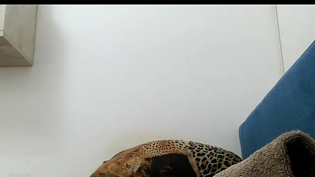 0anal21 online show from 25, 6, 2026
