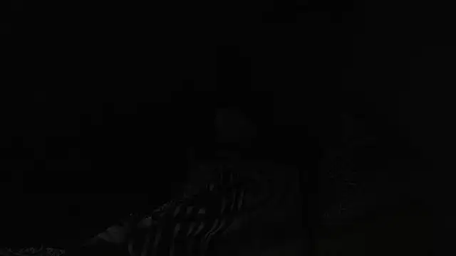 BELINDAXXXXX online show from 13, 12, 2024