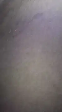 Snapshot of SLhigmama chatting on 29, 1, 2025 SLhigmama online show from 29, 1, 2025