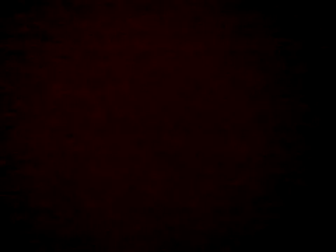 SexiestAries online show from 3, 6, 2026