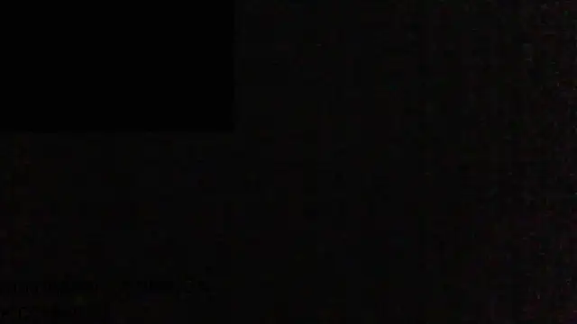 masculine bear daddy online show from 19, 2, 2025