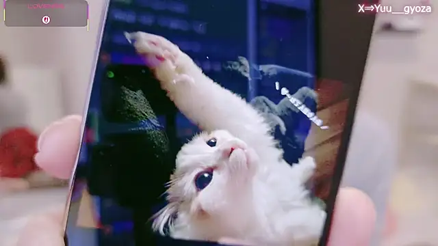 Yuu  k online show from 7, 3, 2026