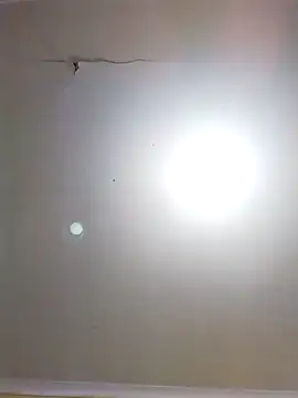 Snapshot of DangerousSafari chatting on 3, 11, 2025 DangerousSafari online show from 3, 11, 2025