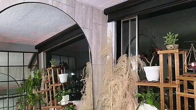 emely brandon online show from 12, 12, 2024