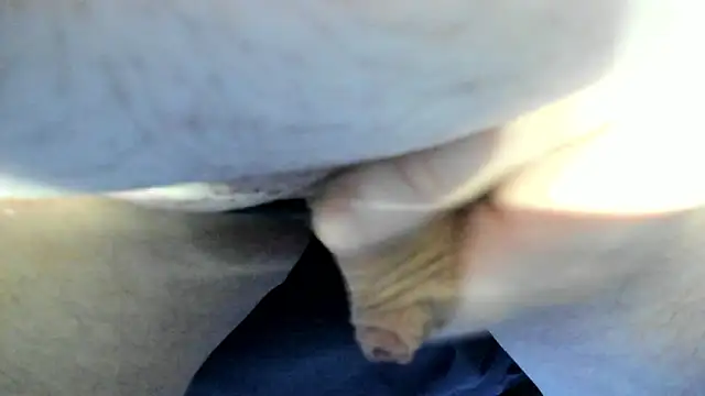 Big Andiy online show from 12, 9, 2025