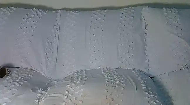 wetmypants online show from 8, 3, 2025