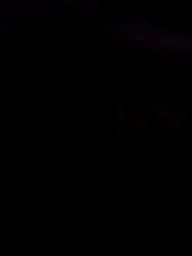 mustican422 online show from 17, 2, 2026