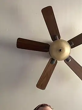 QueenNuttCollector online show from 12, 4, 2026