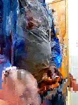 Jeffikuis online show from 23, 9, 2025