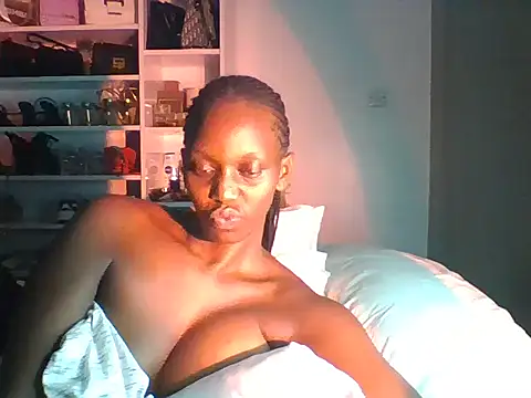 tashwaa online show from 2, 8, 2026