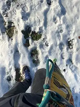 Snapshot of Mrbighardcock chatting on 14, 1, 2026 Mrbighardcock online show from 14, 1, 2026