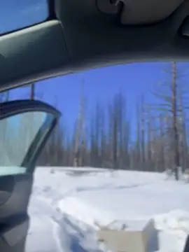 GoldenFlameGoddess online show from 6, 3, 2025