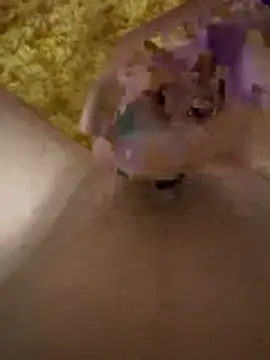 Snapshot of papi88 chatting on 6, 3, 2026 papi88 online show from 6, 3, 2026