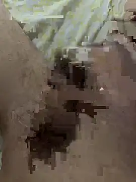 Snapshot of papi88 chatting on 14, 3, 2026 papi88 online show from 14, 3, 2026