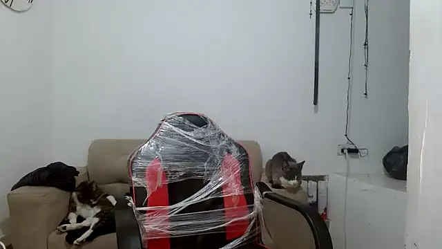 angelamarie1 online show from 29, 9, 2025