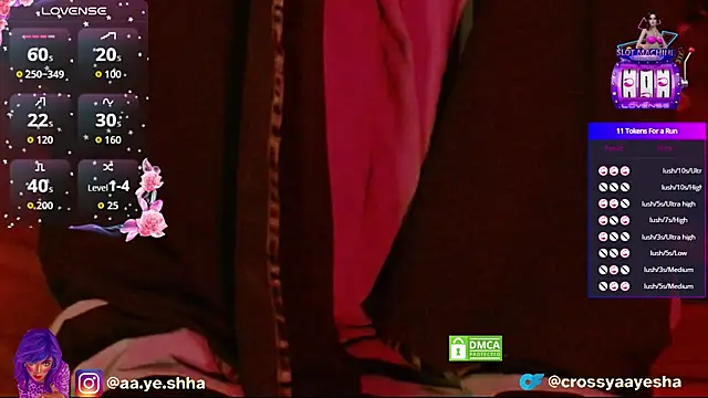 CrossyAayesha online show from 25, 11, 2025