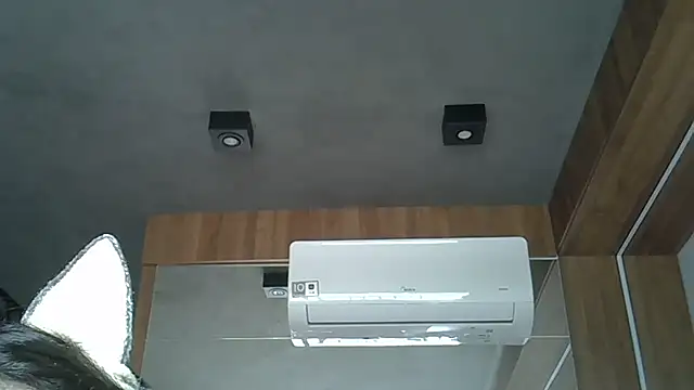 Skinny-Kitten online show from 9, 10, 2025