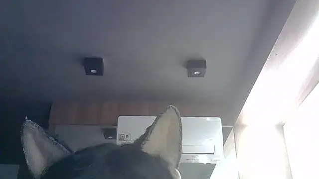 Skinny-Kitten online show from 29, 5, 2026