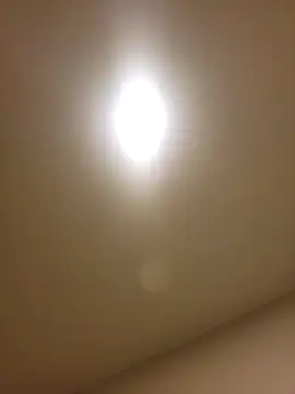 lofibunni online show from 14, 2, 2026