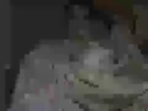 maxstelll online show from 24, 2, 2026