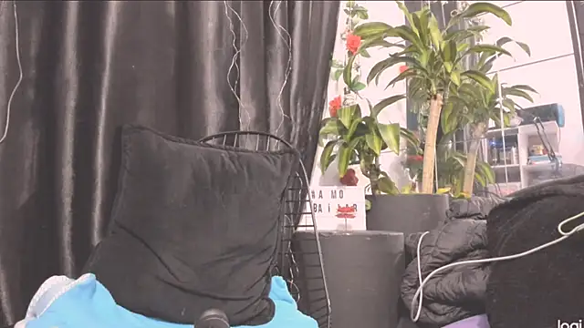 MYFAVOURITESTRAGER online show from 22, 12, 2024