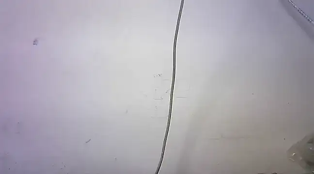 mrose8080 online show from 6, 3, 2025