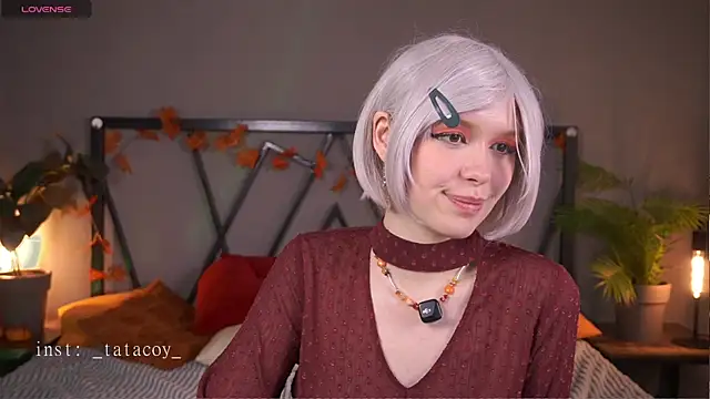 TataCoy online show from 25, 11, 2025