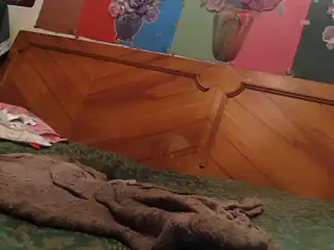 Snapshot of EllyseJenner chatting on 17, 12, 2024 EllyseJenner online show from 17, 12, 2024