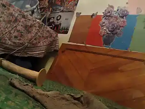 Snapshot of EllyseJenner chatting on 6, 1, 2025 EllyseJenner online show from 6, 1, 2025