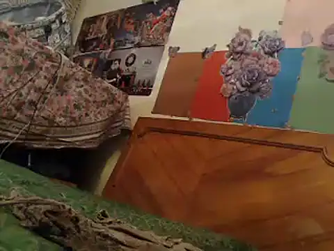 Snapshot of EllyseJenner chatting on 13, 1, 2025 EllyseJenner online show from 13, 1, 2025