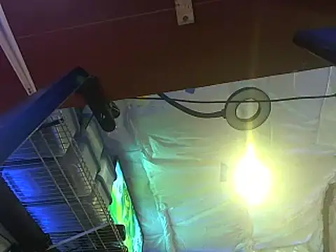 CloudDadddyyy420 online show from 15, 10, 2025