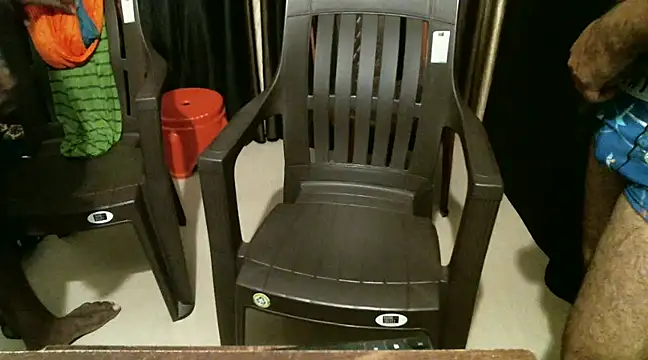 indian2 online show from 21, 12, 2024