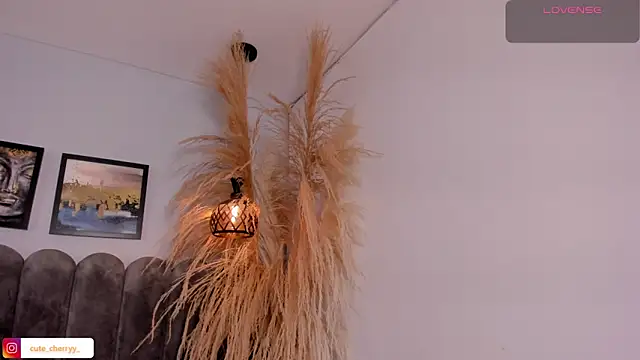 cute  cherry  online show from 14, 4, 2026